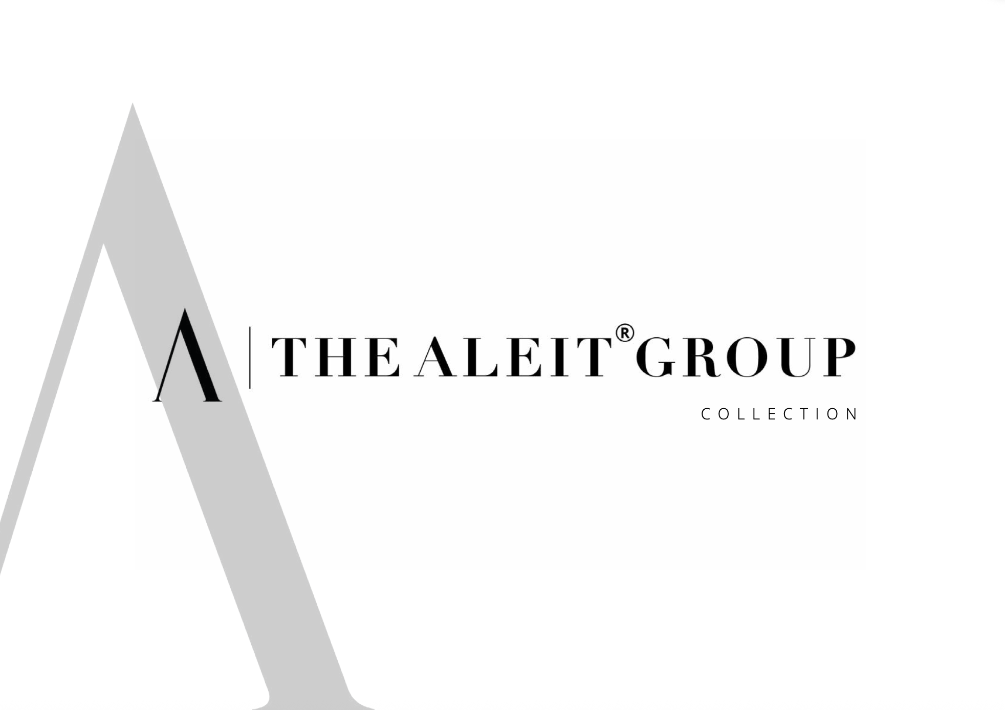 The Aleit Group Onboarding